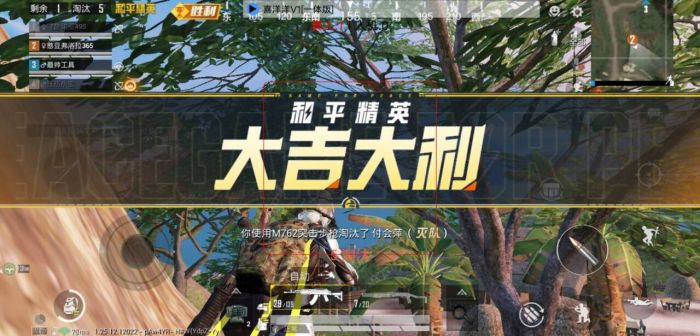 和平精英辅助哪个容易上分（和平精英玩哪个最容易上分）